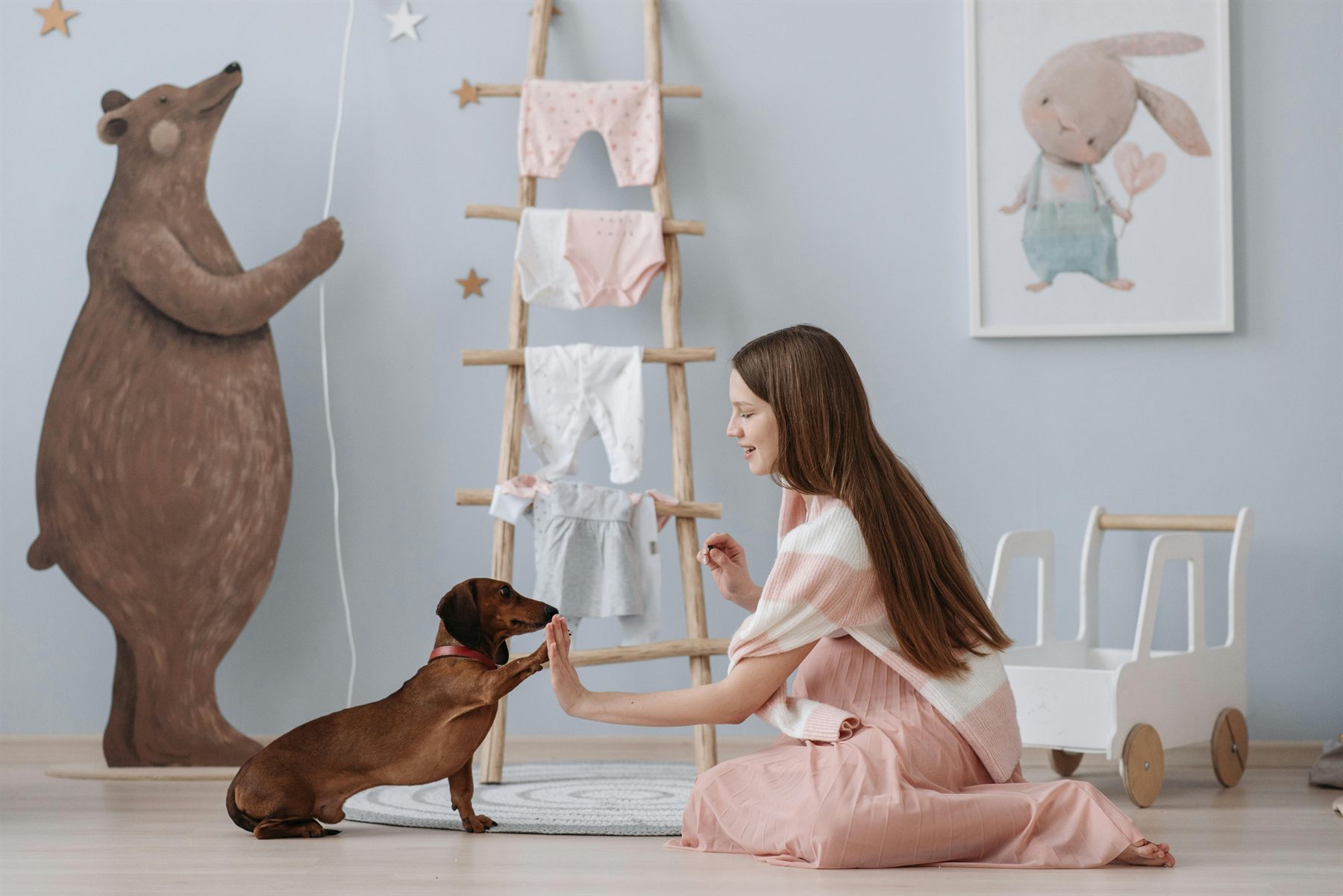 A trainer working one-on-one with a dog during an in-home session